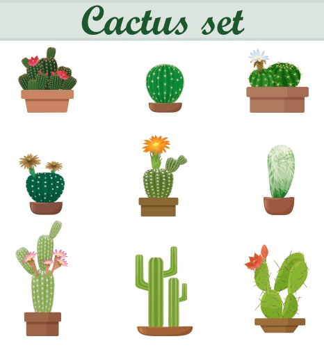 Realistic of cactus set vector image