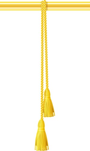 Textile tassel hang at rope vector image