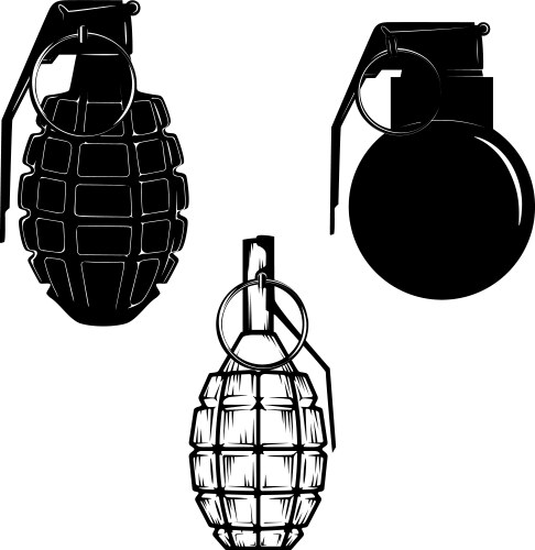 set of hand grenades isolated on white background vector image