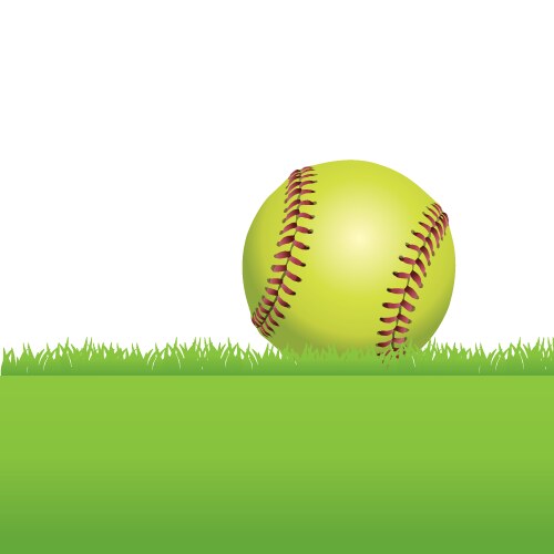 Softball in the grass vector image