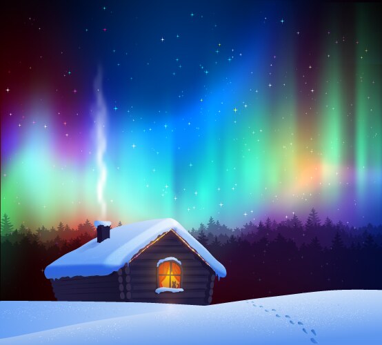 Winter night landscape vector image