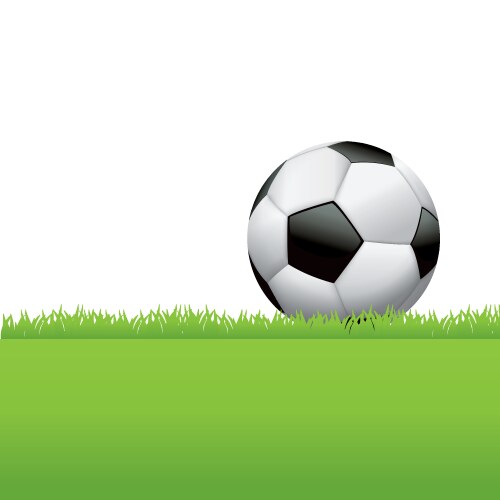 soccer ball football in the grass vector image