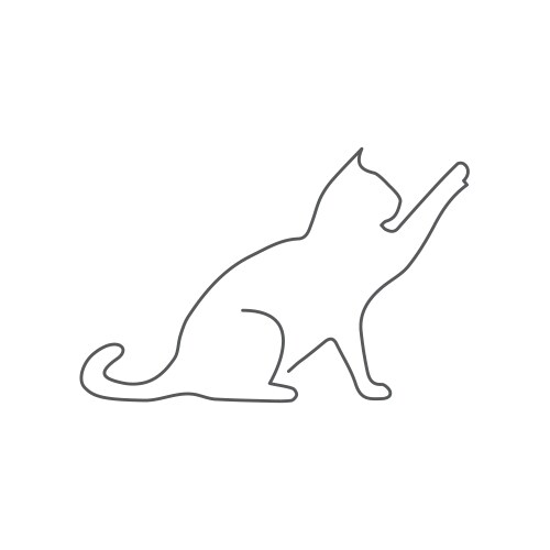 Cat one line drawing on white vector image