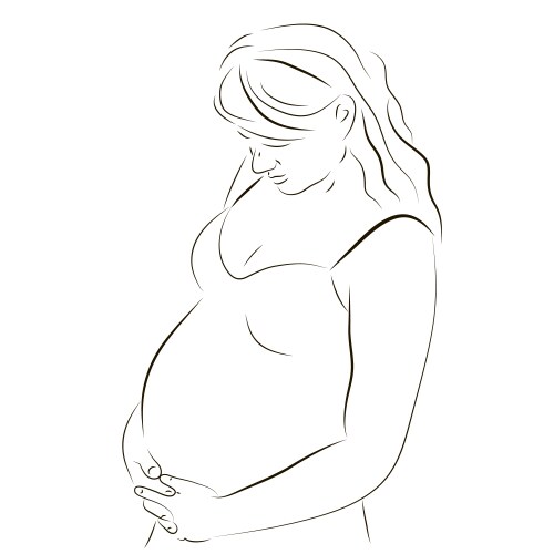 young pregnant woman sketch vector image