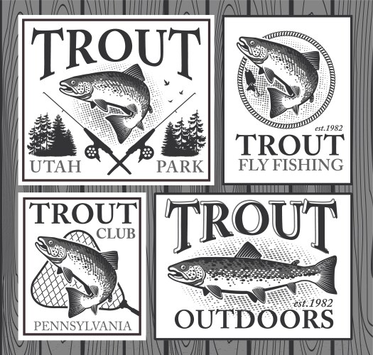 Trout fishing vector image