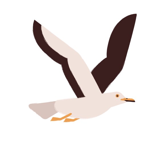 Flying gull with wings up flat vector image