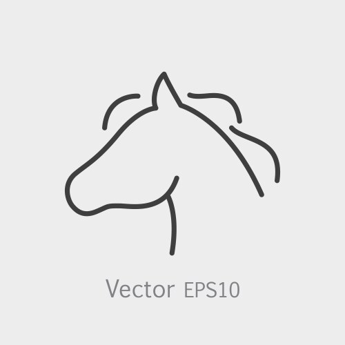 thin line horse head icon vector image