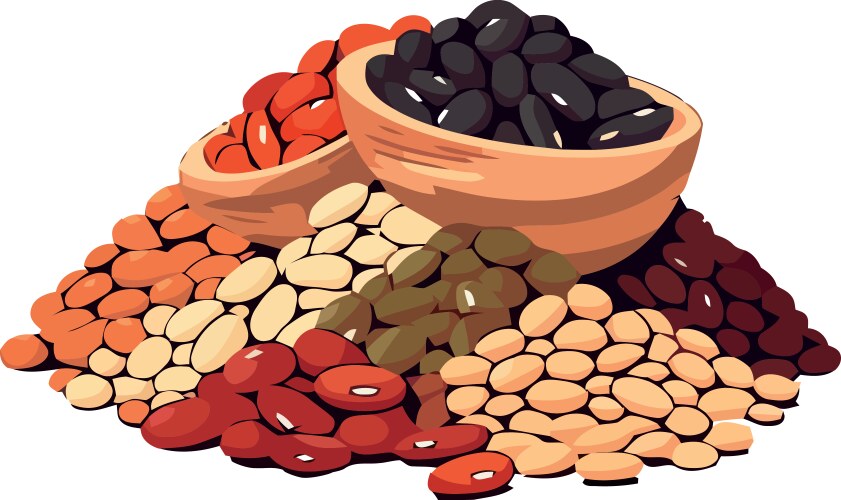 Organic beans heap fresh and healthy vector image