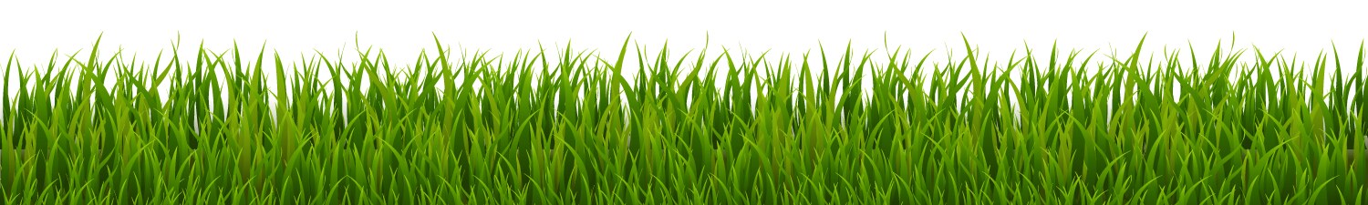 Green grass border vector image