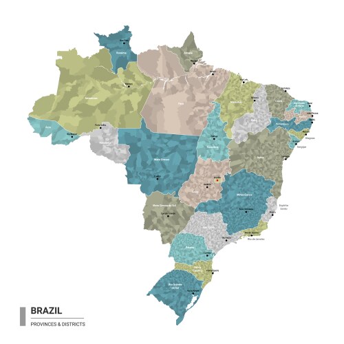 Brazil higt detailed map with subdivisions vector image