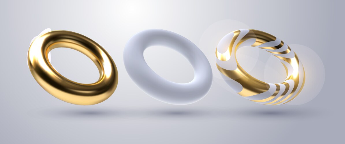 Realistic torus shapes vector image