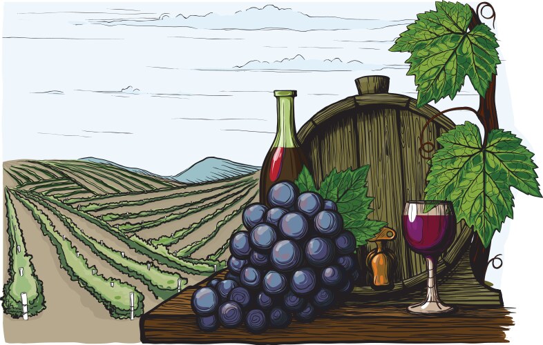 Winemaking vector image