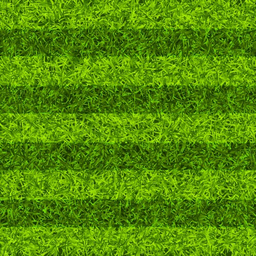 soccer playing field with green grass football vector image