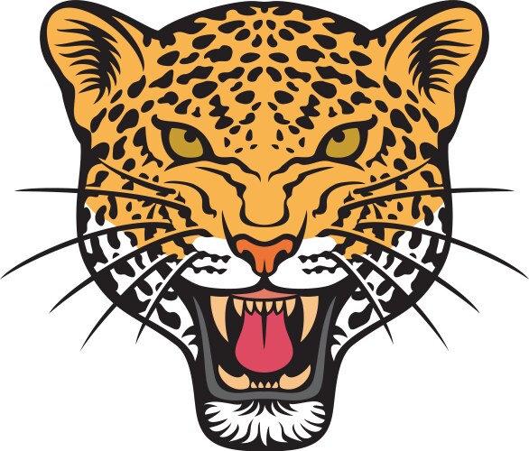 Jaguar face - animal head color vector image