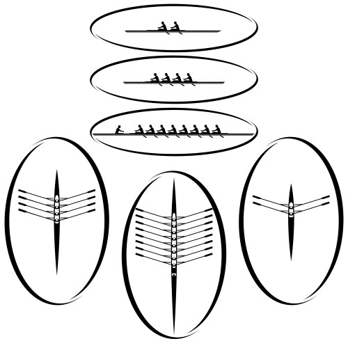 Academic rowing vector image