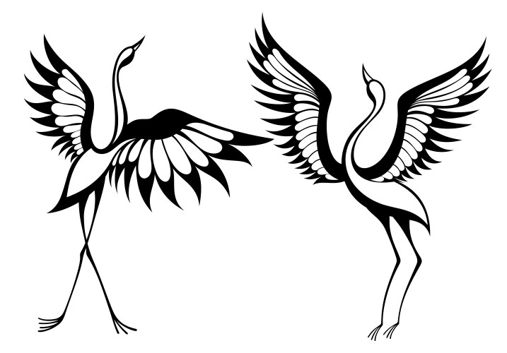 crane birds vector image