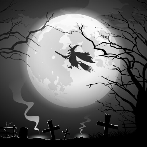 Halloween party witch ride concept scary vector image