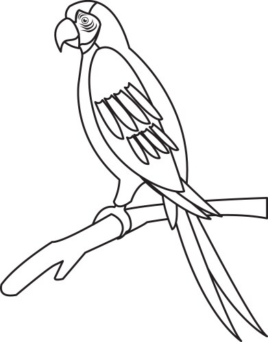 macaw parrot branch brazil bird wildlife outline vector image