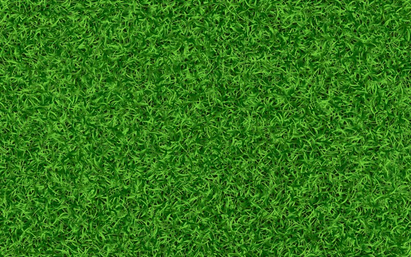 Grass texture green lawn background realistic vector image