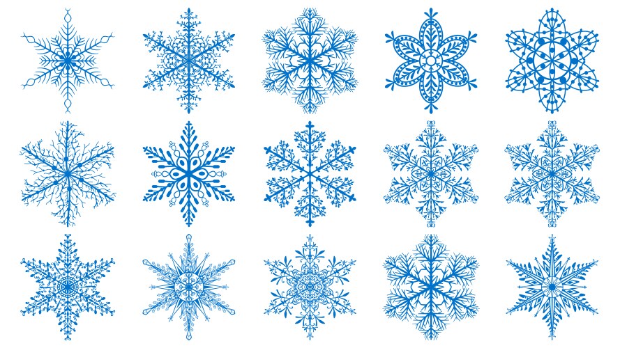 Christmas snowflakes vector image