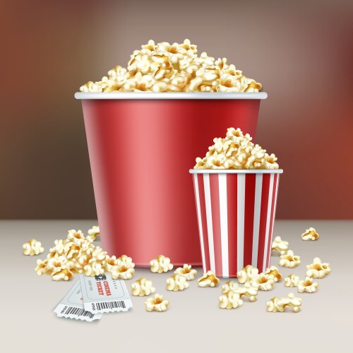 two buckets of popcorn vector image