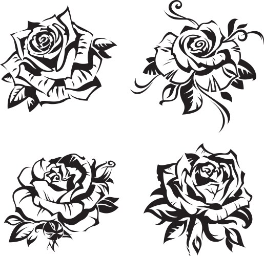 Black rose set vector image