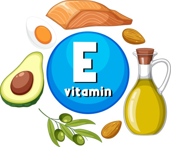 Educational group of food containing vitamin e vector image