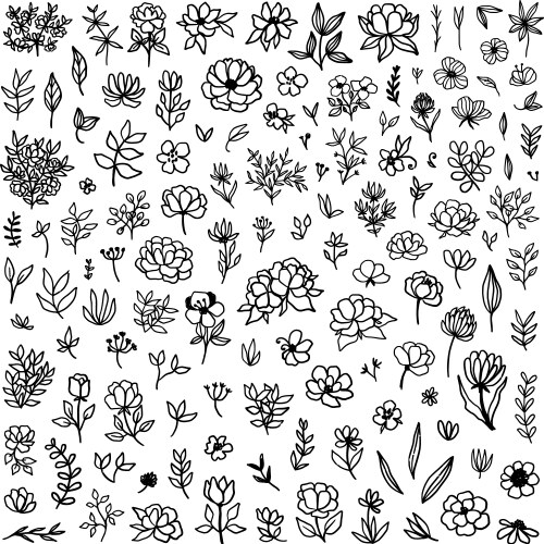 Floral elements vector image