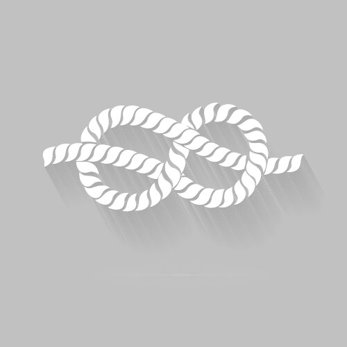 Black and white rope eight knot graphic design vector image