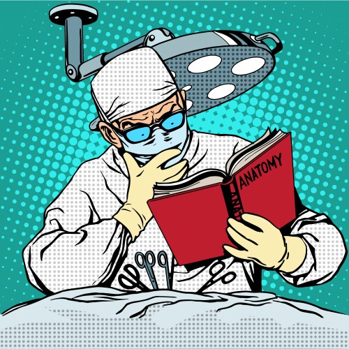 Surgeon before surgery is reading anatomy vector image