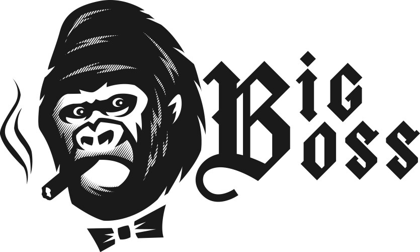 Big boss angry gorilla with a cigar vector image