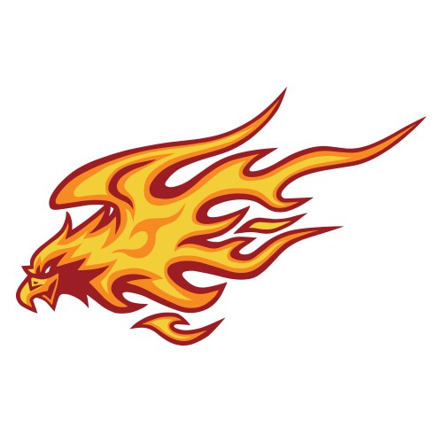 Eagle fire head flame logo template design vector image