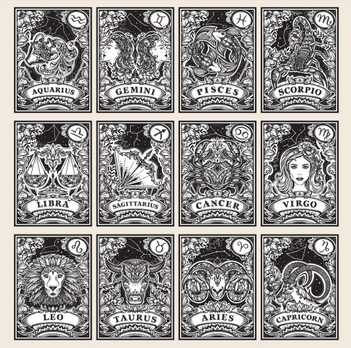 Beautiful black and white pre-made cards vector image