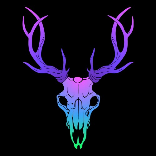 Rainbow bright deer skull on black background vector image