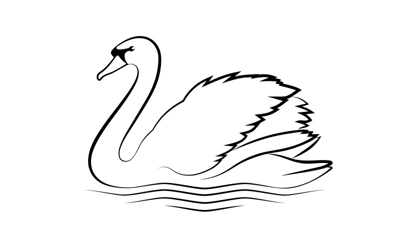 swan image vector image