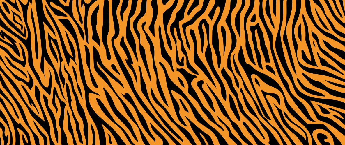 Texture tiger orange stripe black background vector image