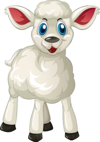 White lamb standing alone vector image