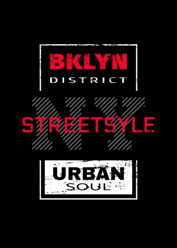 New york city brooklyn t-shirt graphics vector image