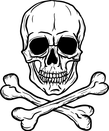 Skull and crossbones vector image