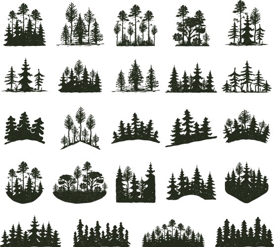 Tree outdoor travel black silhouette coniferous vector image