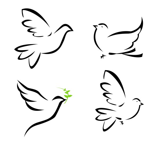 dove vector image