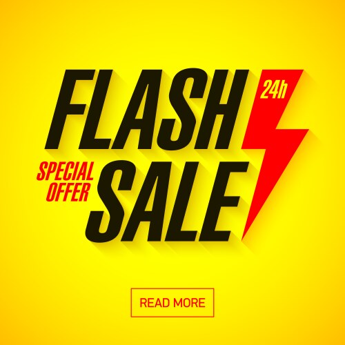 Flash sale banner vector image