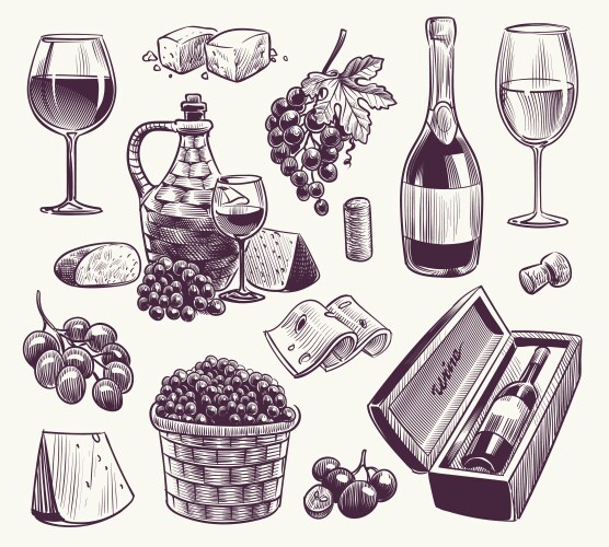 Sketch wine winemaking classical alcoholic drink vector image