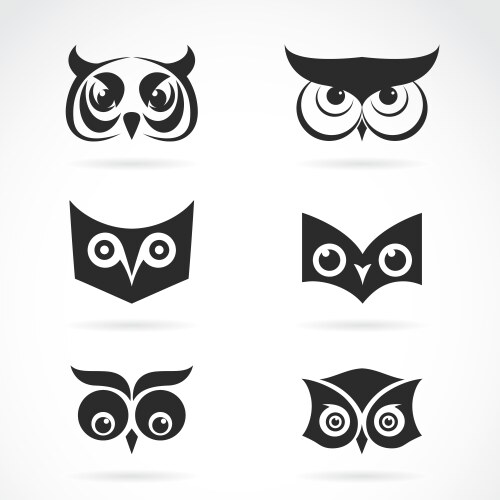 image of an owl face design on white background vector image