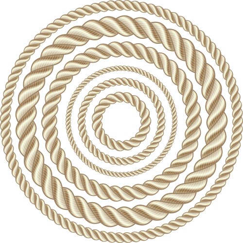 Circle ropes vector image