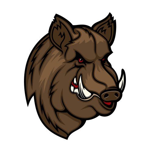 Angry boar head mascot wild pig or hog icon vector image