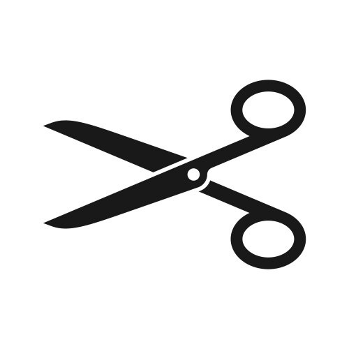 scissors icon vector image