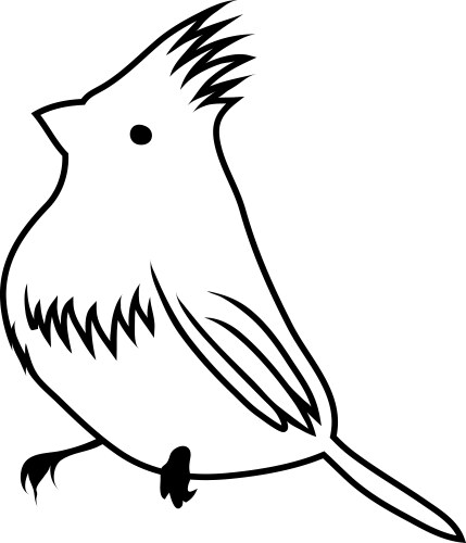 Sketch bird vector image