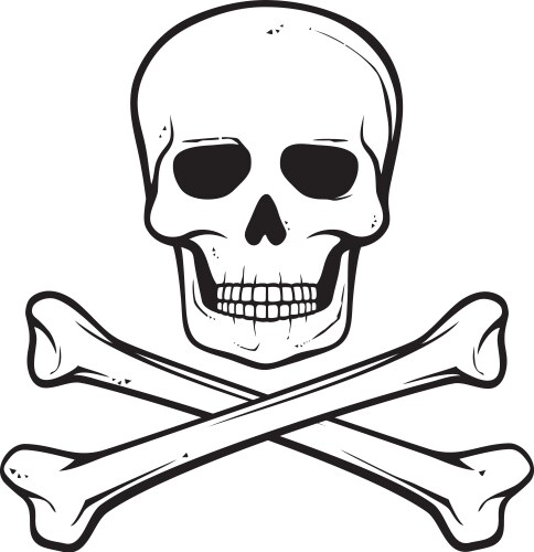 Skull with crossed bones - pirate symbol vector image