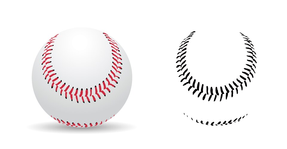 Baseball stitches on a white background sport vector image